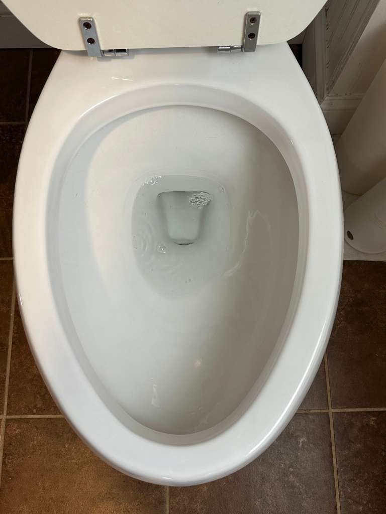 Toilet Deep Clean, After