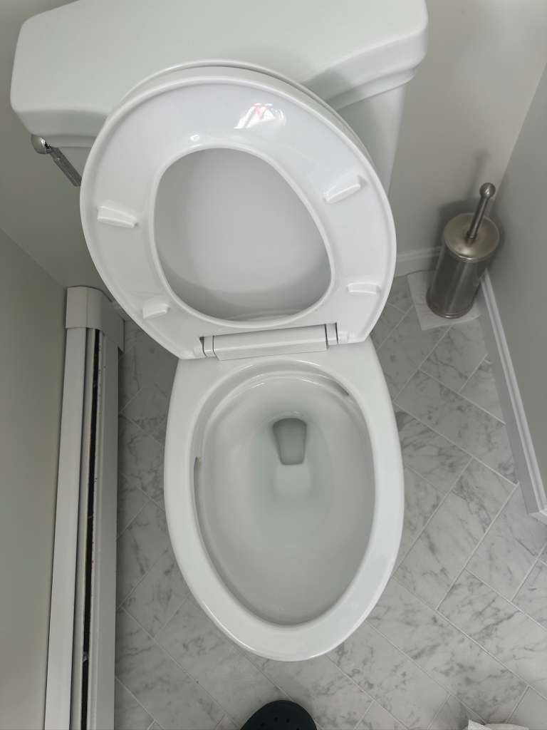 Toilet Clean, After