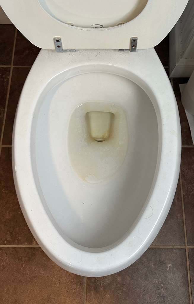 Toilet Before