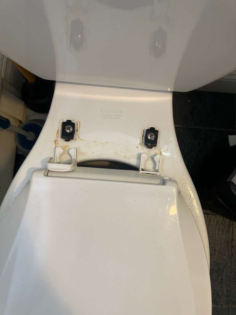Toilet Hinge, Before
