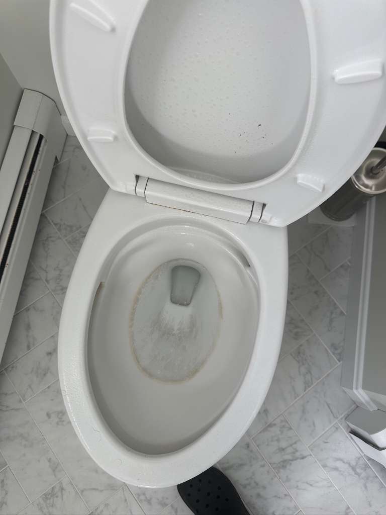 Toilet Before