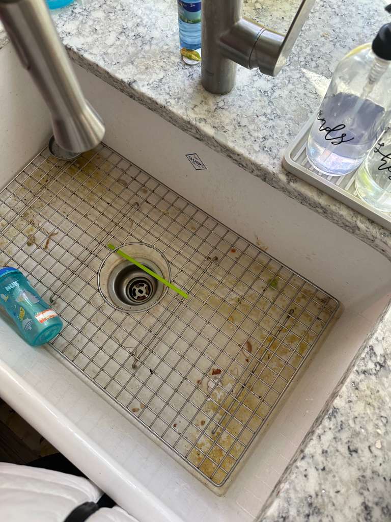 Sink Deep Clean, Before